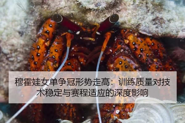 mu-huo-wa-nv-dan-zheng-guan-xing-shi-zou-gao-xun-lian-zhi-liang-dui-ji-shu-wen-ding-yu-sai-cheng-shi-ying-de-shen-du-2-621.jpg